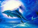 Dolphin mermaid