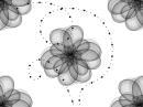abstract flower