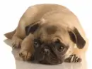 i am watching you
