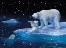 Cola bears 1