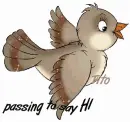 passing to say hi
