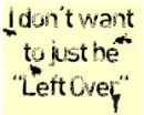 Left overs