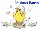 just born