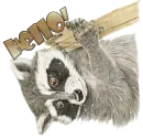 Hello!