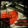 Teenage Heartbreak