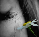 lashes