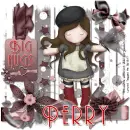 Perry - ragdoll