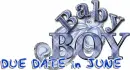 due date in june its a boy
