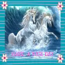 unicorns