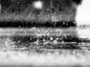 rain
