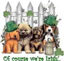 St patricks dogs