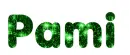 Pami 