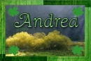 Andrea