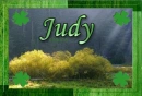 Judy