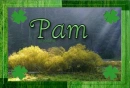 Pam