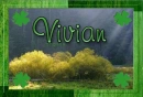 Vivian