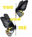 Batterfly