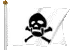 Pirate Flag