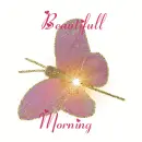 Beautifull
