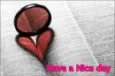 have a nice day