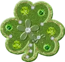 clover