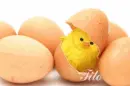 Just Born