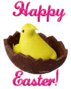 Peep