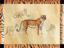 Tiger frame