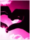 Love 2
