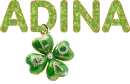 Adina