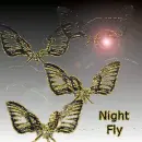 Night