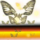 Batterfly