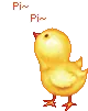 chicken