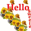 Hello