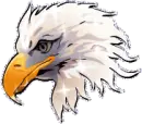 Eagle head
