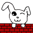 My Bunny Design