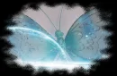BLUE BUTTERFLY