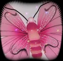 PINKY BUTTERFLY