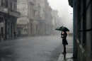 Umbrella