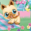 littlest pet shop