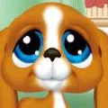 littlest pet shop