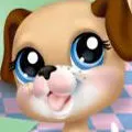 littlest pet shop
