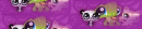 littlest pet shop