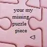 Puzzle Piece