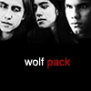 The Wolves