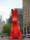 Bunny