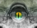 Green Eye