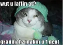 lolcat