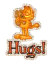 Hugs~Garfield