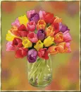 tulips